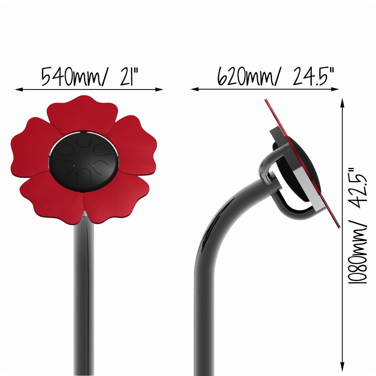 Blütenblatt-Trommelmohn