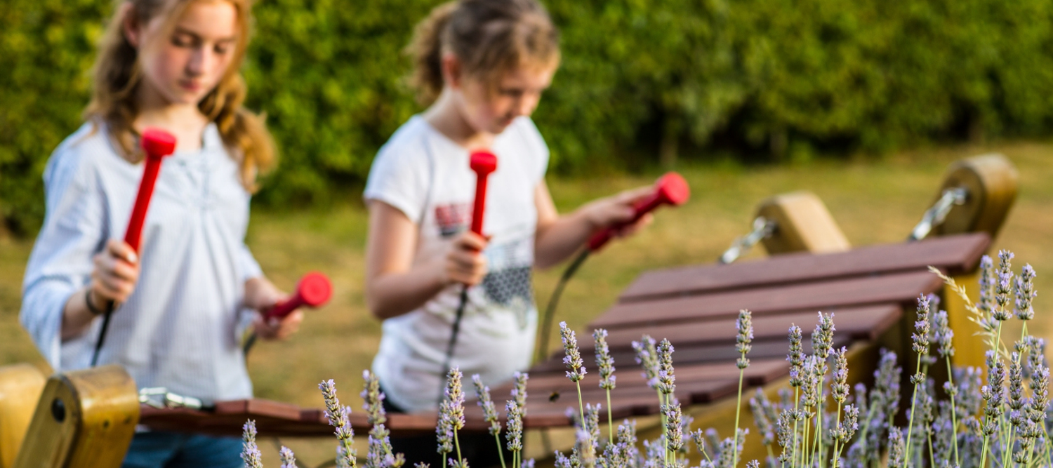 Kampagnepakker til skoler