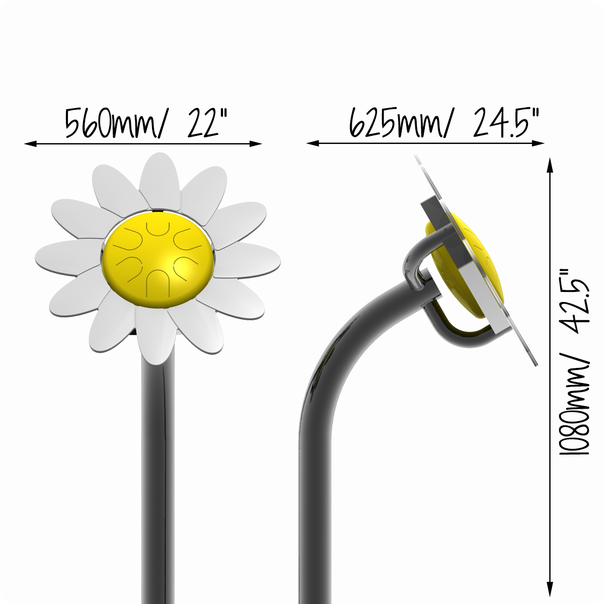 Blütenblatt-Drum-Gänseblümchen