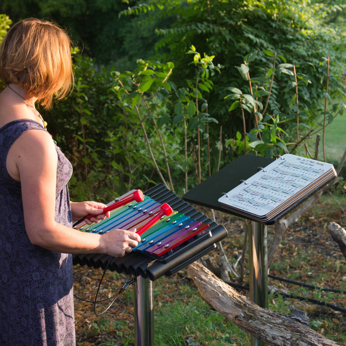 Cavatina und Musikbuch (4 Seiten / 8 Melodien)