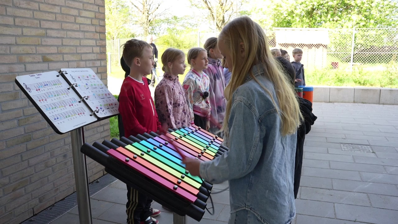 Laden Sie das Video: 